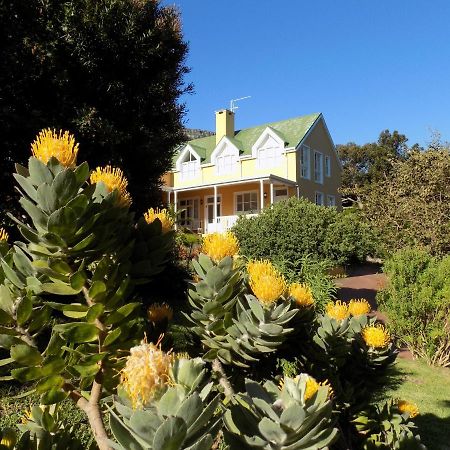 Villa La Paz Hout Bay Exteriér fotografie