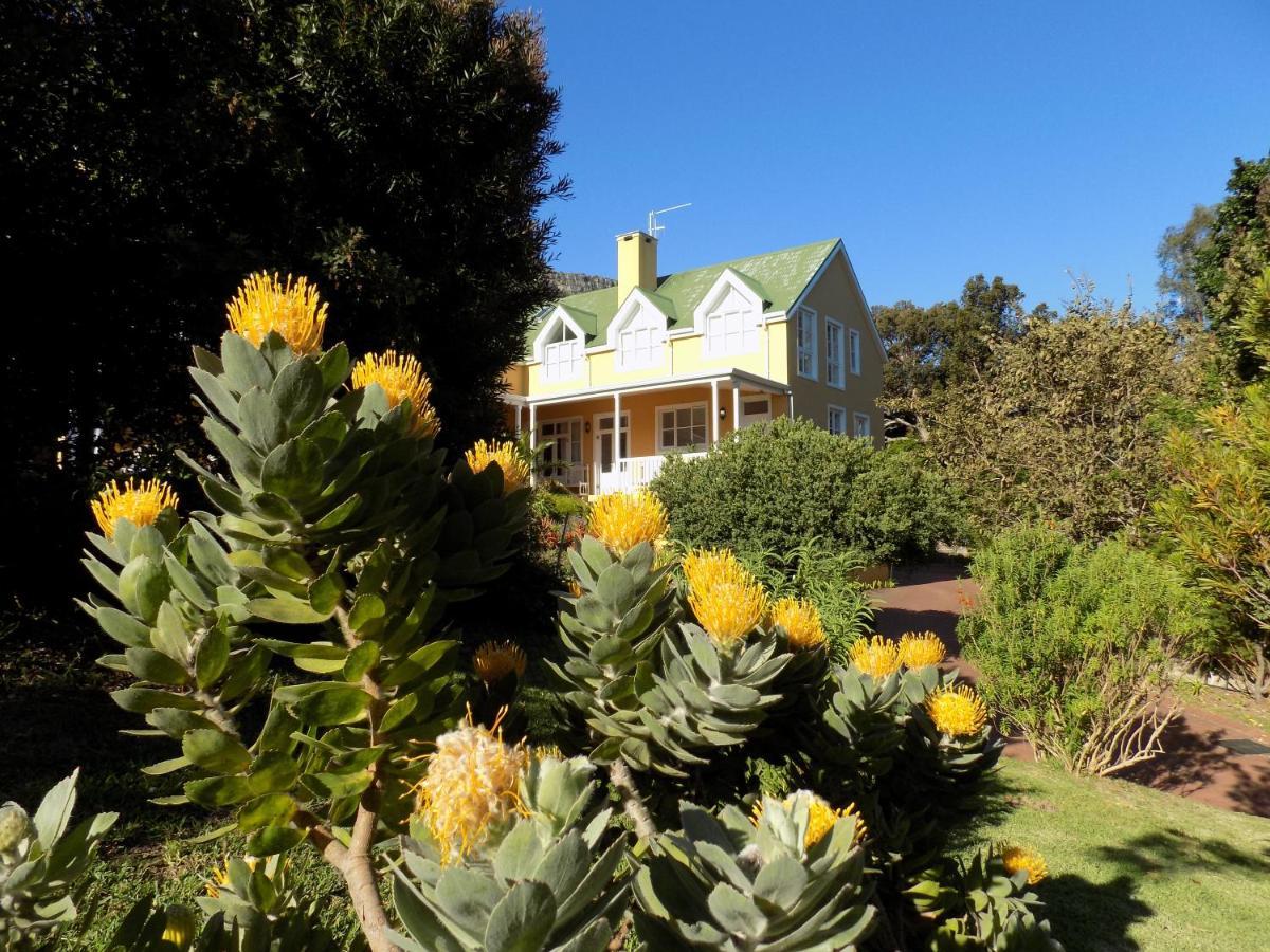 Villa La Paz Hout Bay Exteriér fotografie