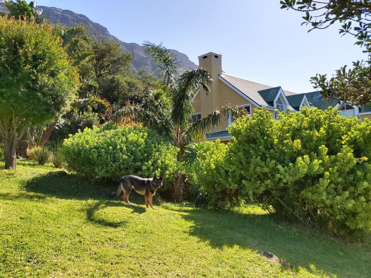 Villa La Paz Hout Bay Exteriér fotografie